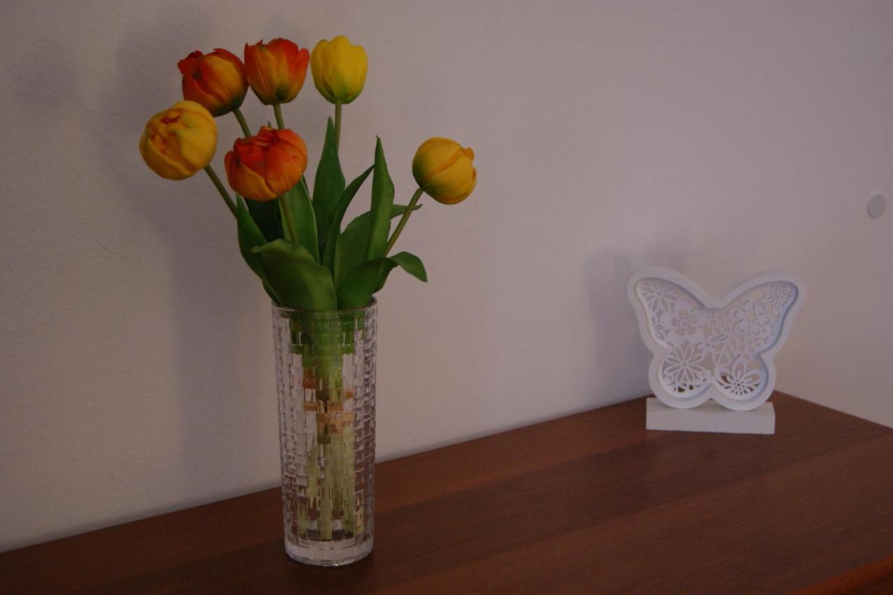 Apartment Lynx Кореница Екстер'єр фото